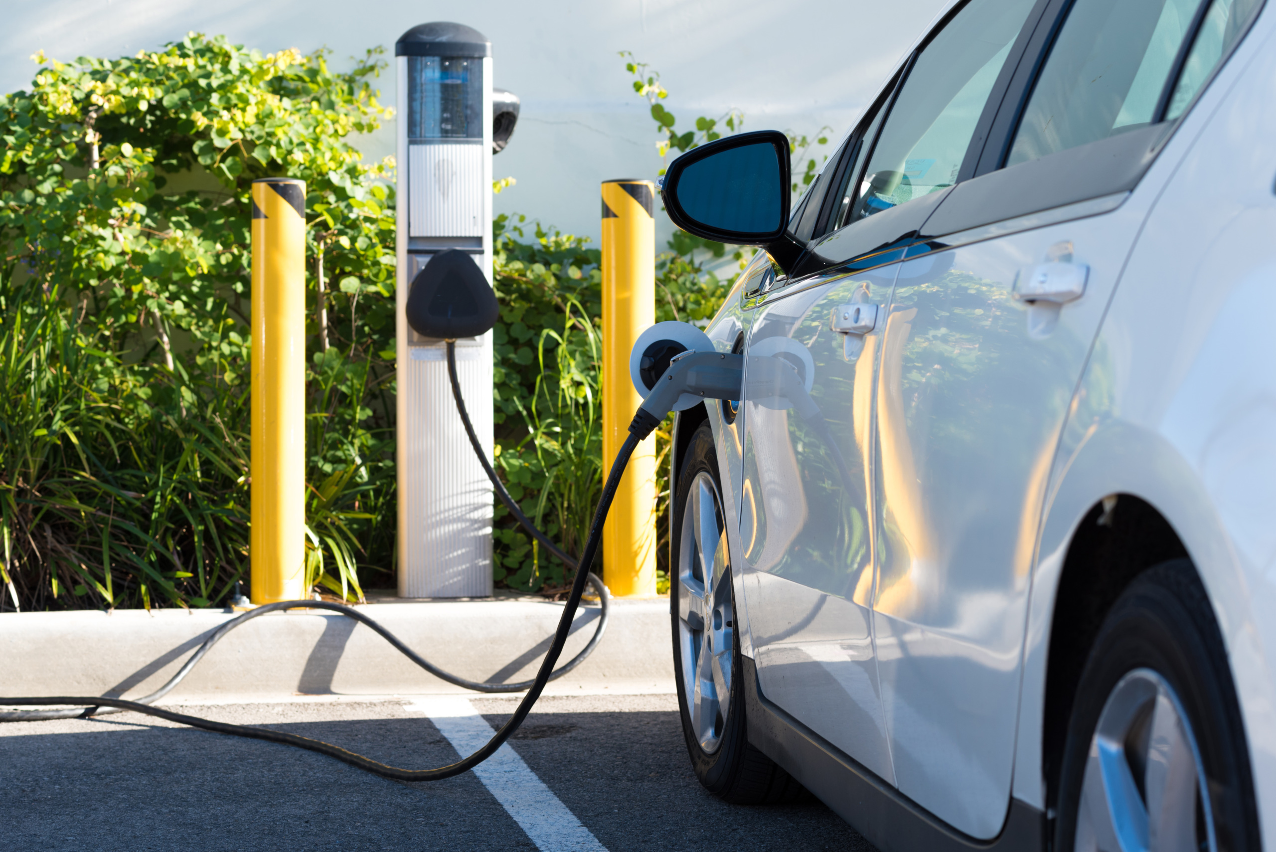electric-car-charging-in-California-Mike-Flippo-via-shutterstock-259990757
