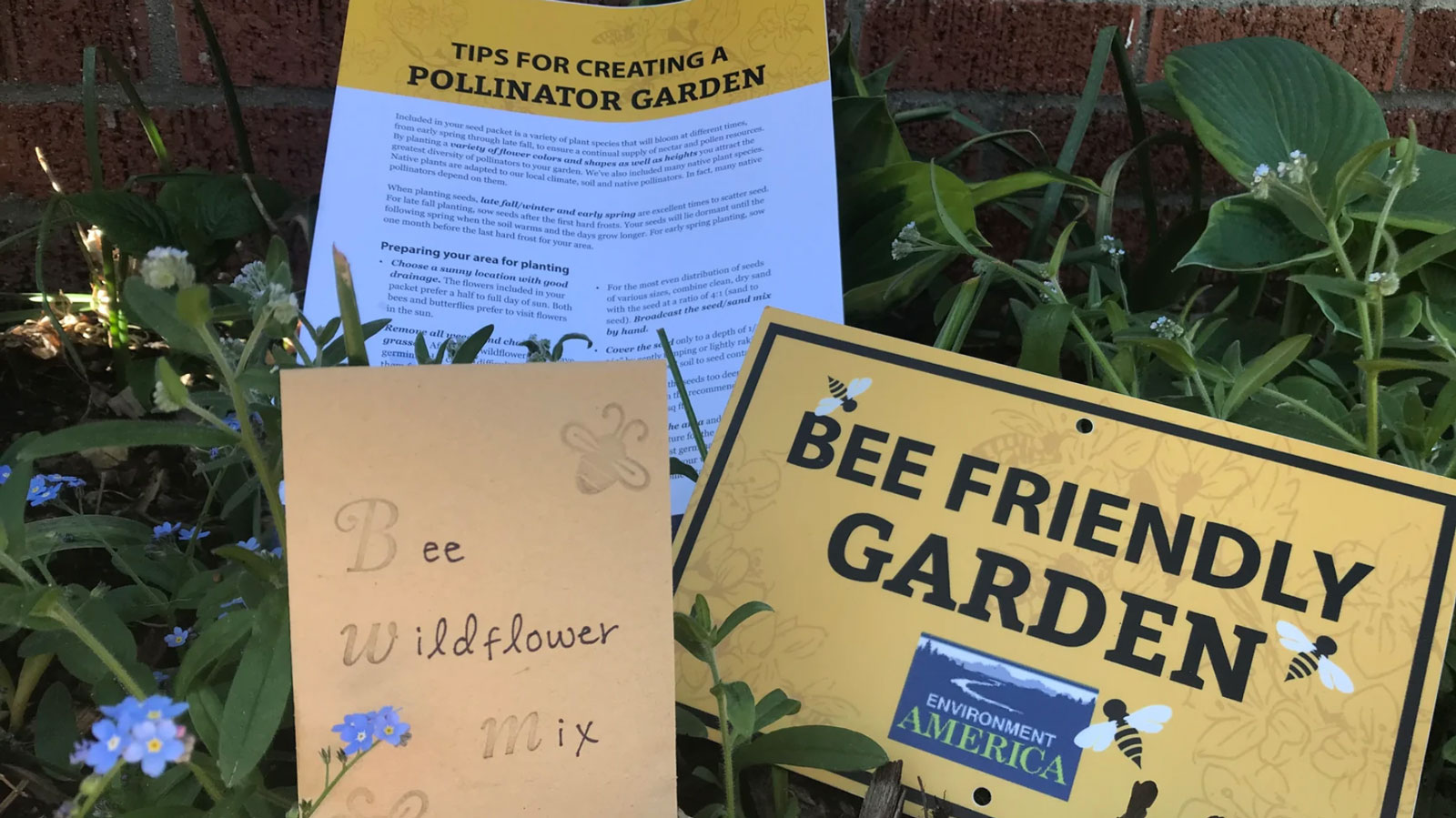 Bee-Friendly Garden Kit
