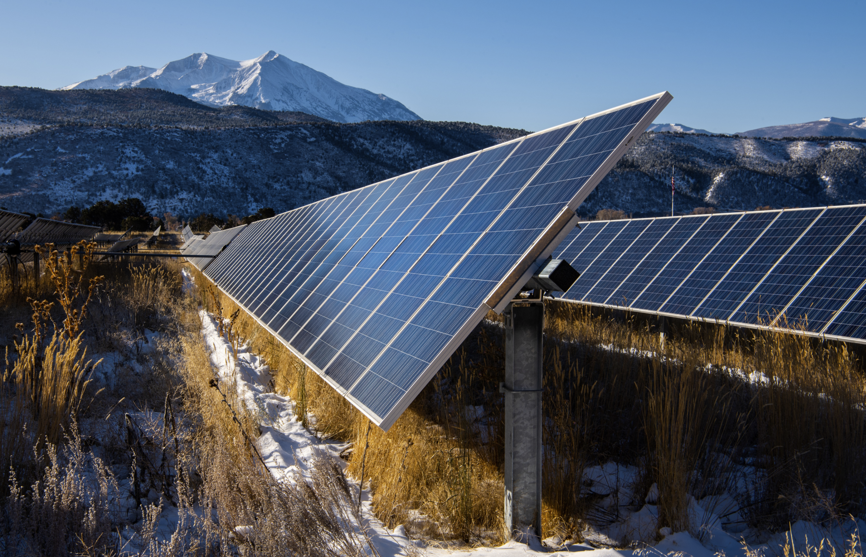 Solar panels at the Sunnyside Ranch Community Solar Array.