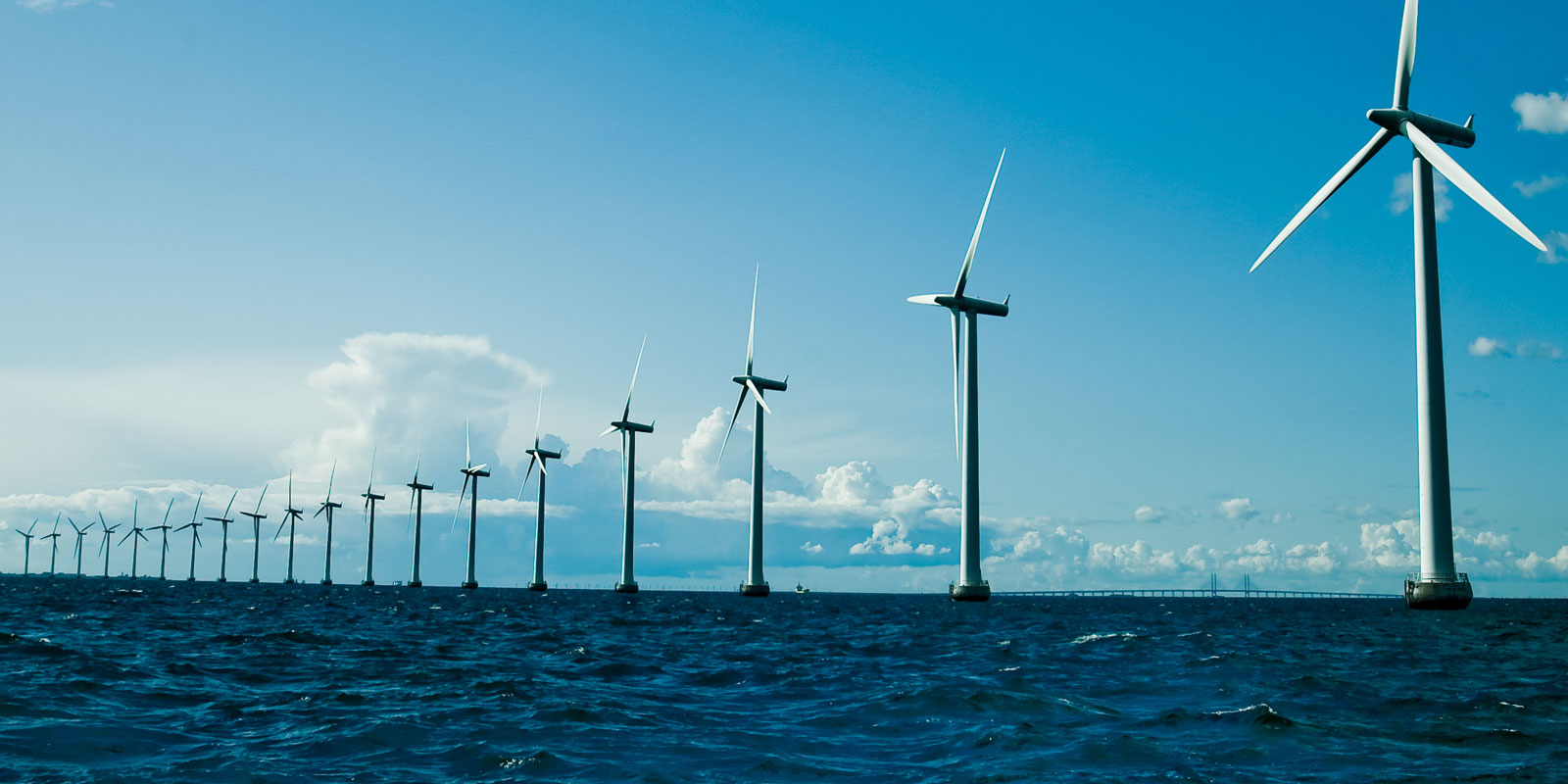 Environmental assessment of proposed areas for offshore wind farms