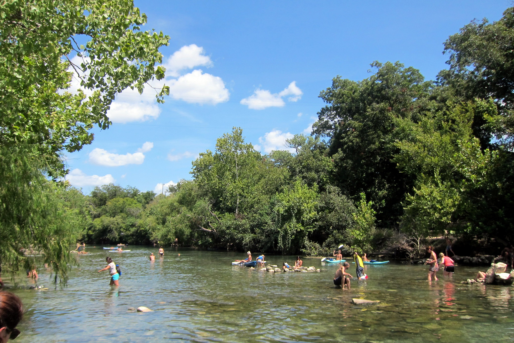 Barton Creek being enjoyed by swimmers and paddle boarders