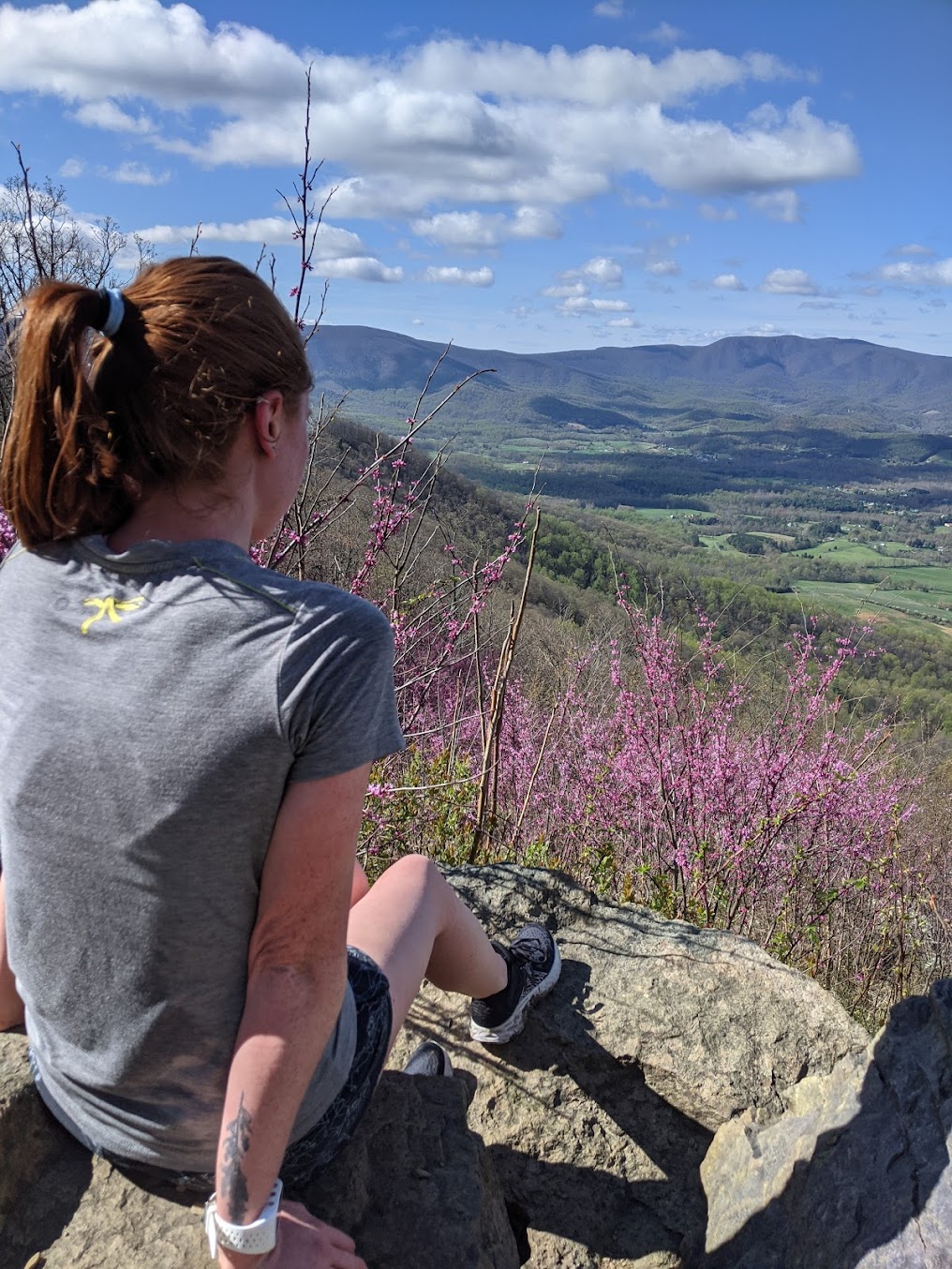 Lara paused to enjoy the view at Shenandoah National Park in early April)