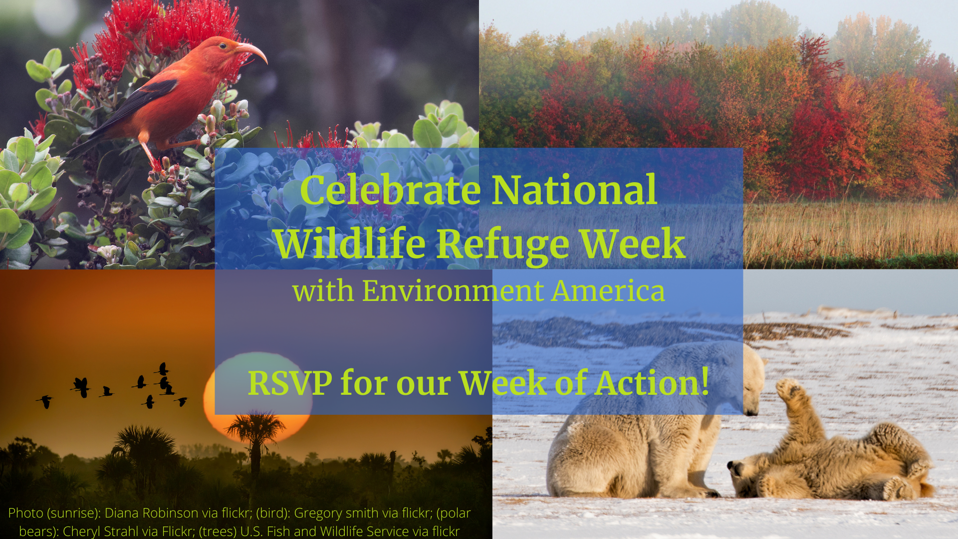 Take Action for National Wildlife Refuge Week