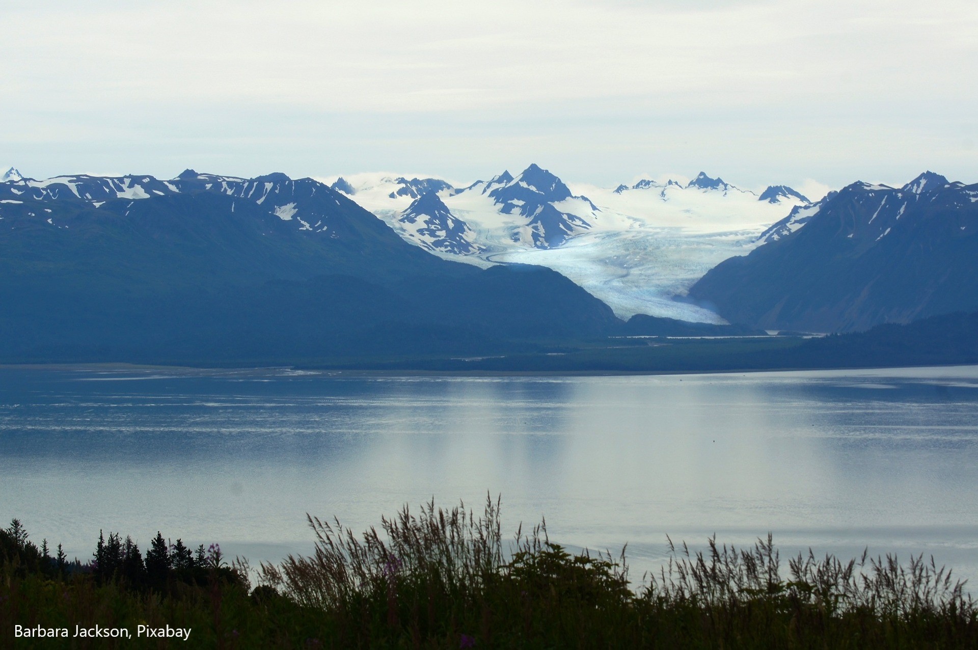 Photo of lower Cook Inlet with snowy mountains in the back, grass in the front taken near Homer, AK. 