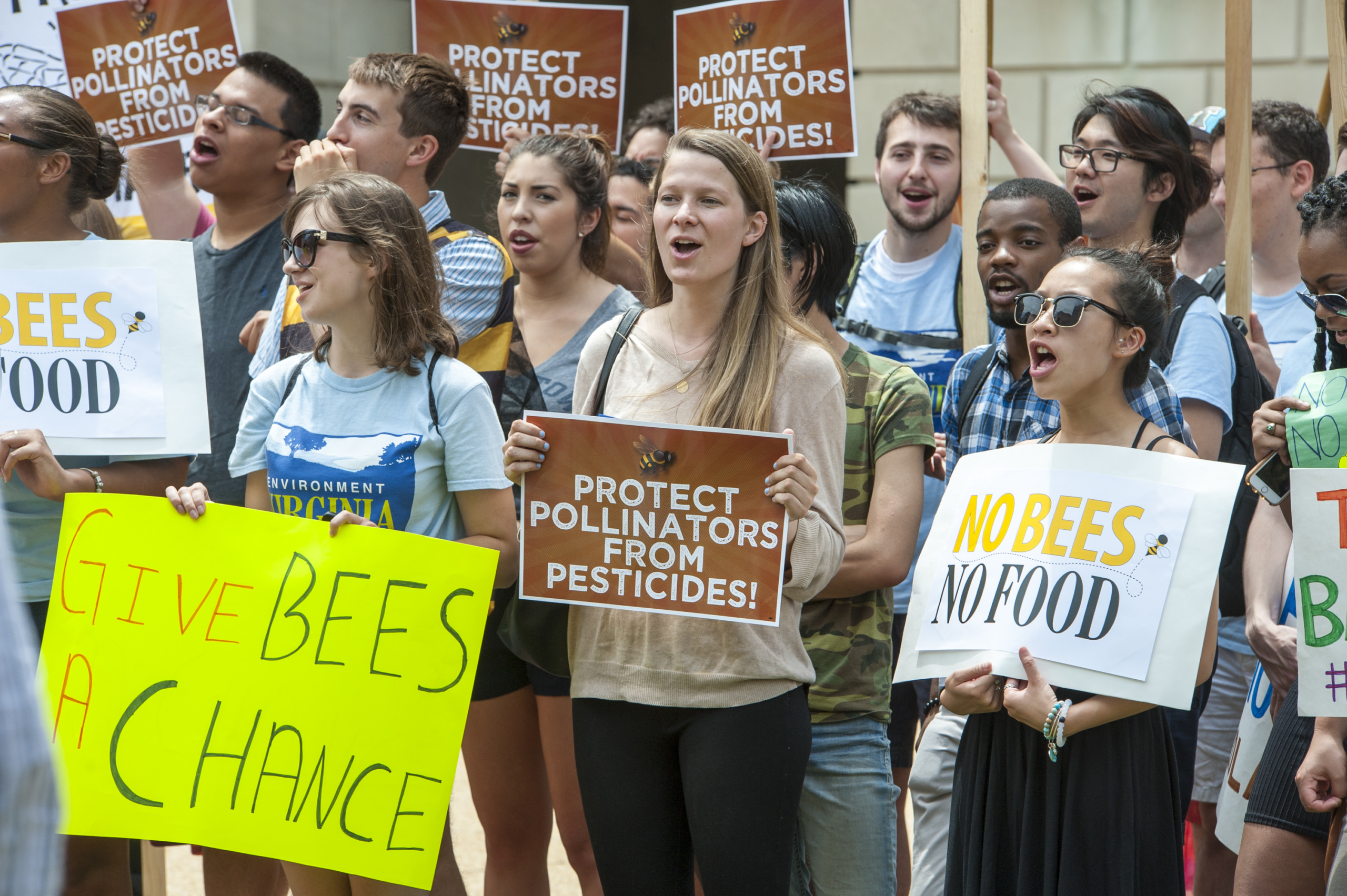 Environment-America-Save-the-Bee-Campaign-via-Suzannah-Hoover