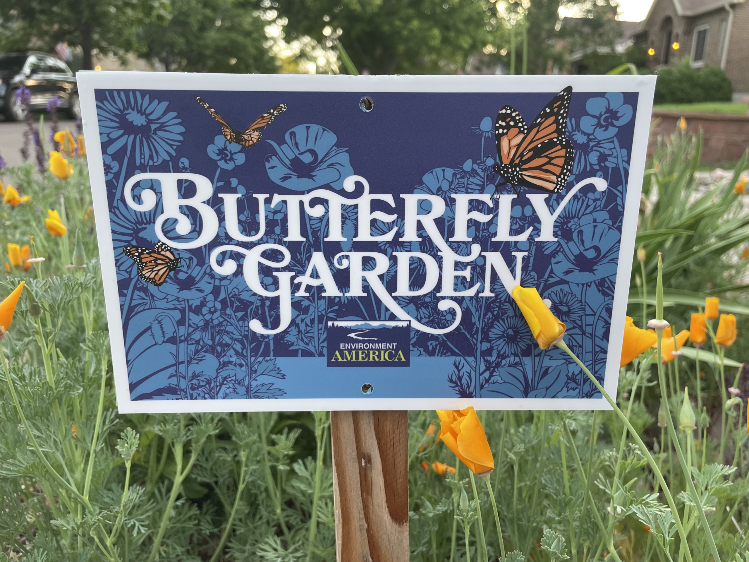 Environment America Butterfly Garden Sign