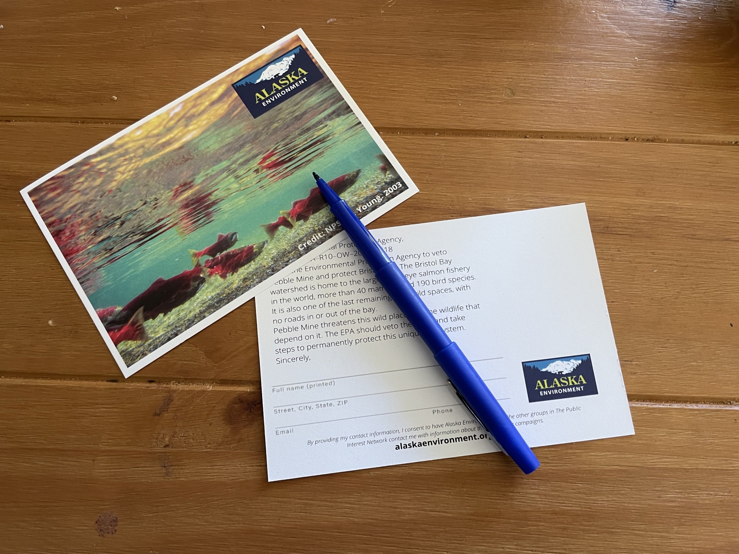 Picture of a postcard with salmon on it and a comment on the backside to stop the Pebble mine and a pen to sign