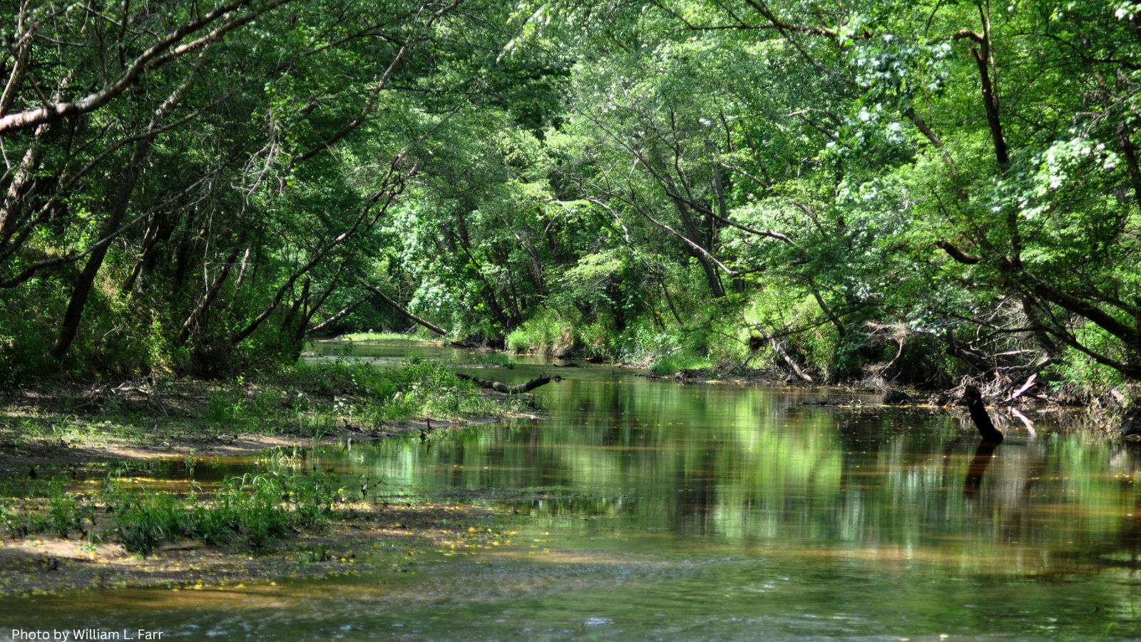 Lake-Houston-Wilderness-Park