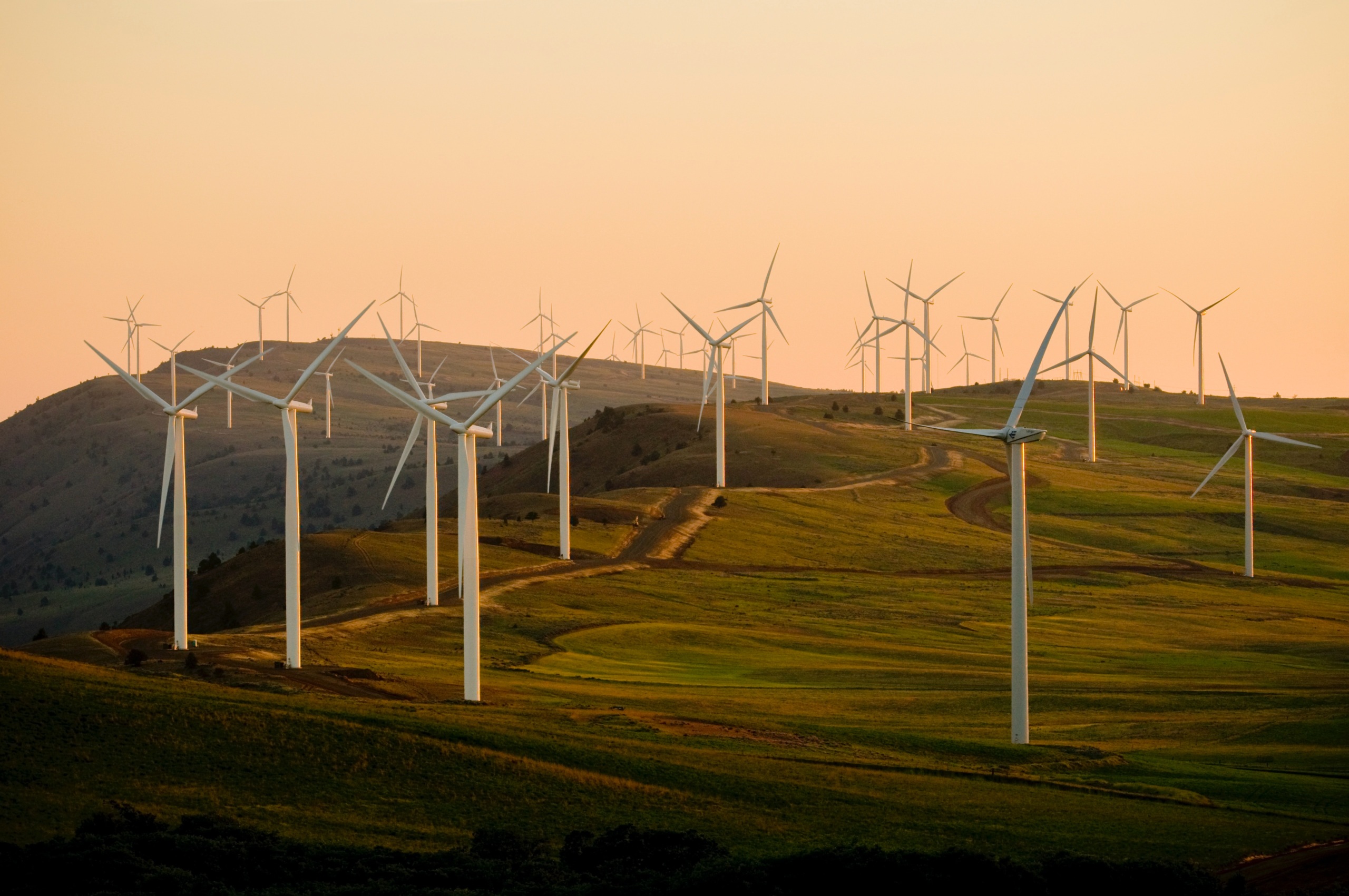 A wind farm on a hill in Turlock, California.