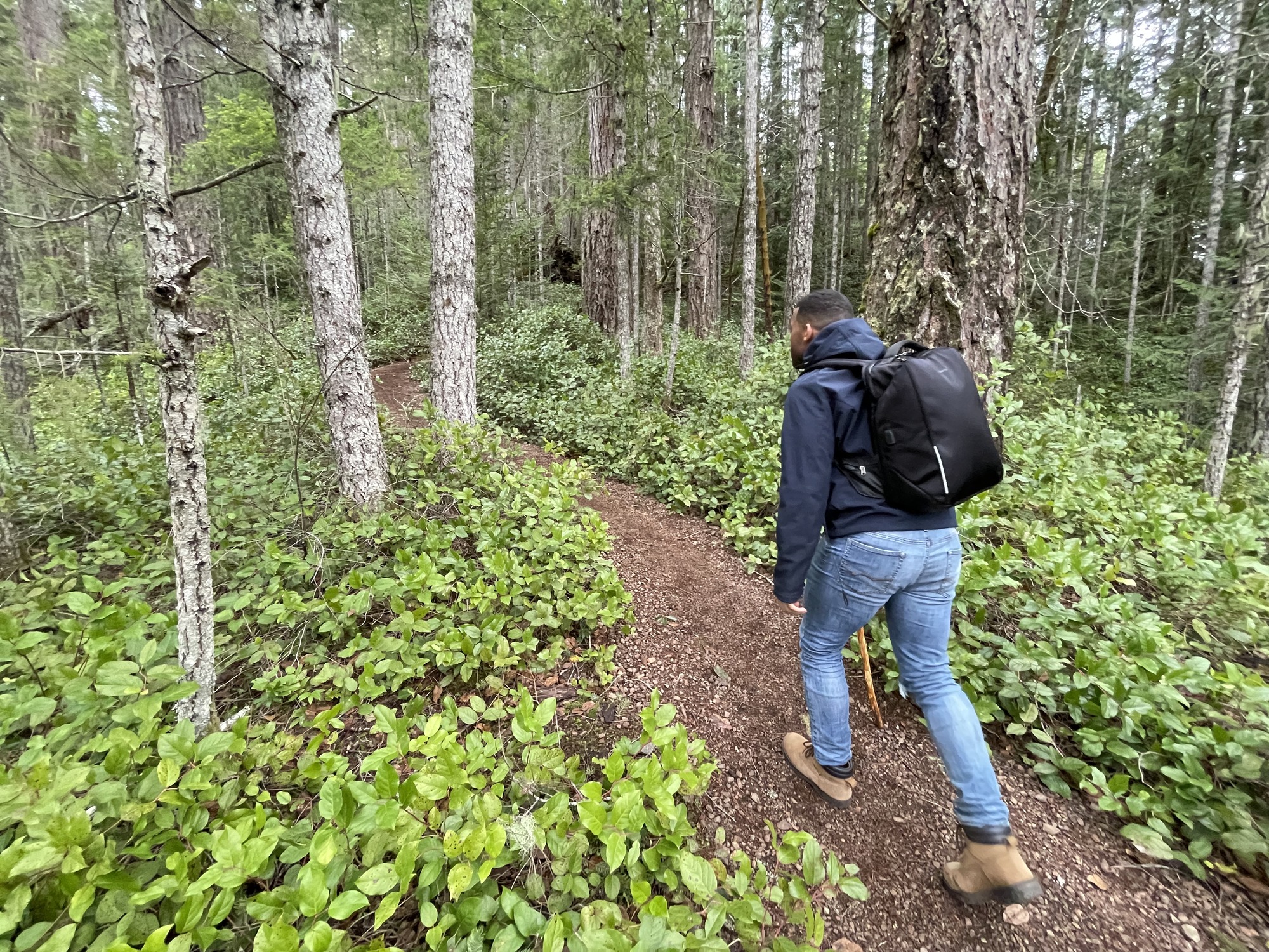 Hiker at Mount Storm King trail, Olympic National Park