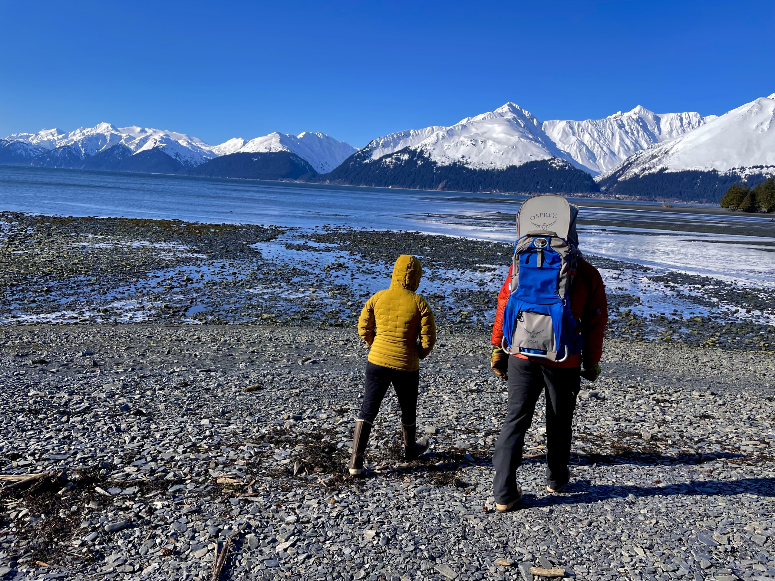 Photo of people walking on rocky beach near Seward with snowy mountains in background