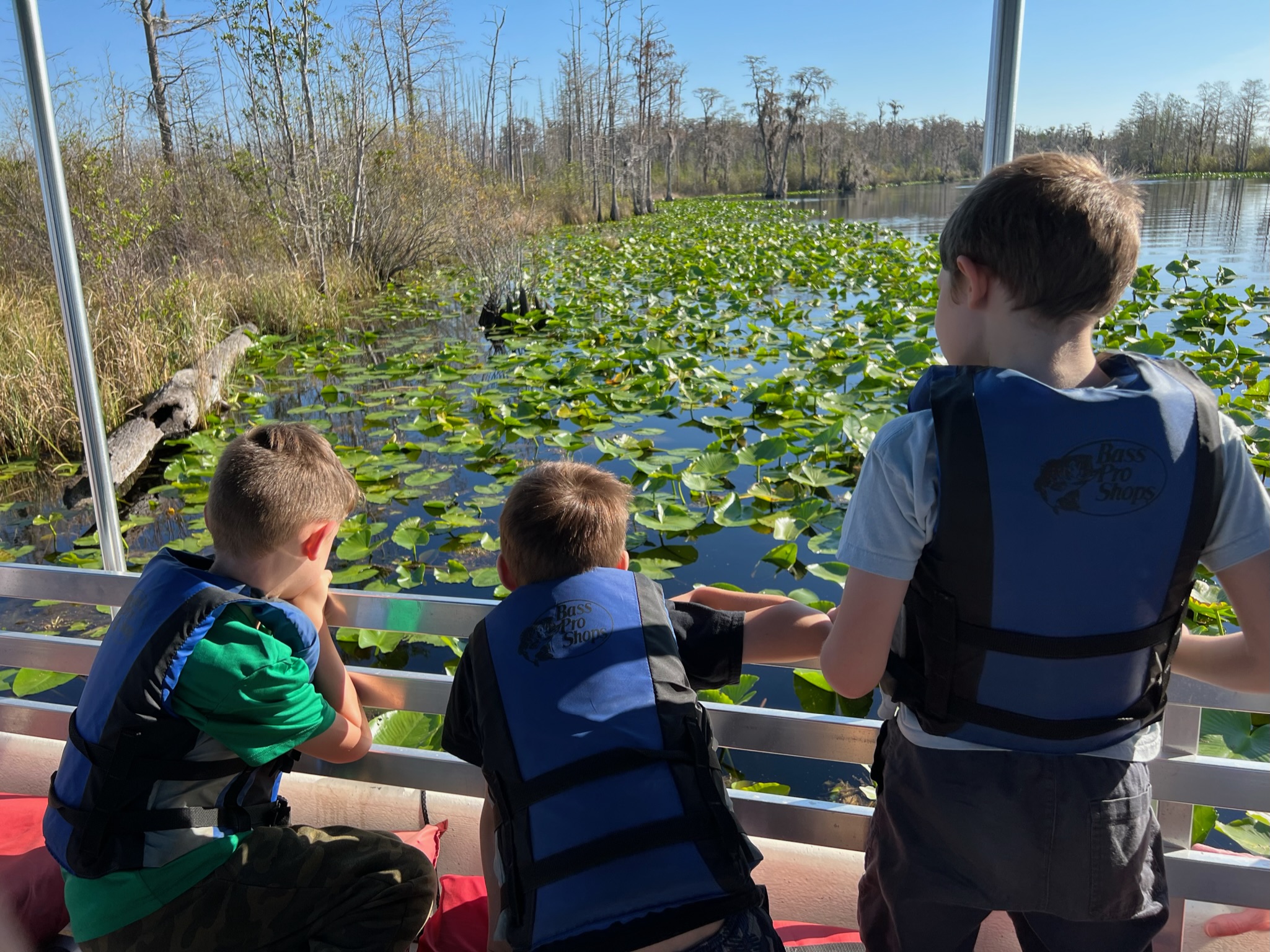 We took three 1st graders to the Okefenokee Swamp. This is them loving the boat tour put on by the Refuge Naturalist.