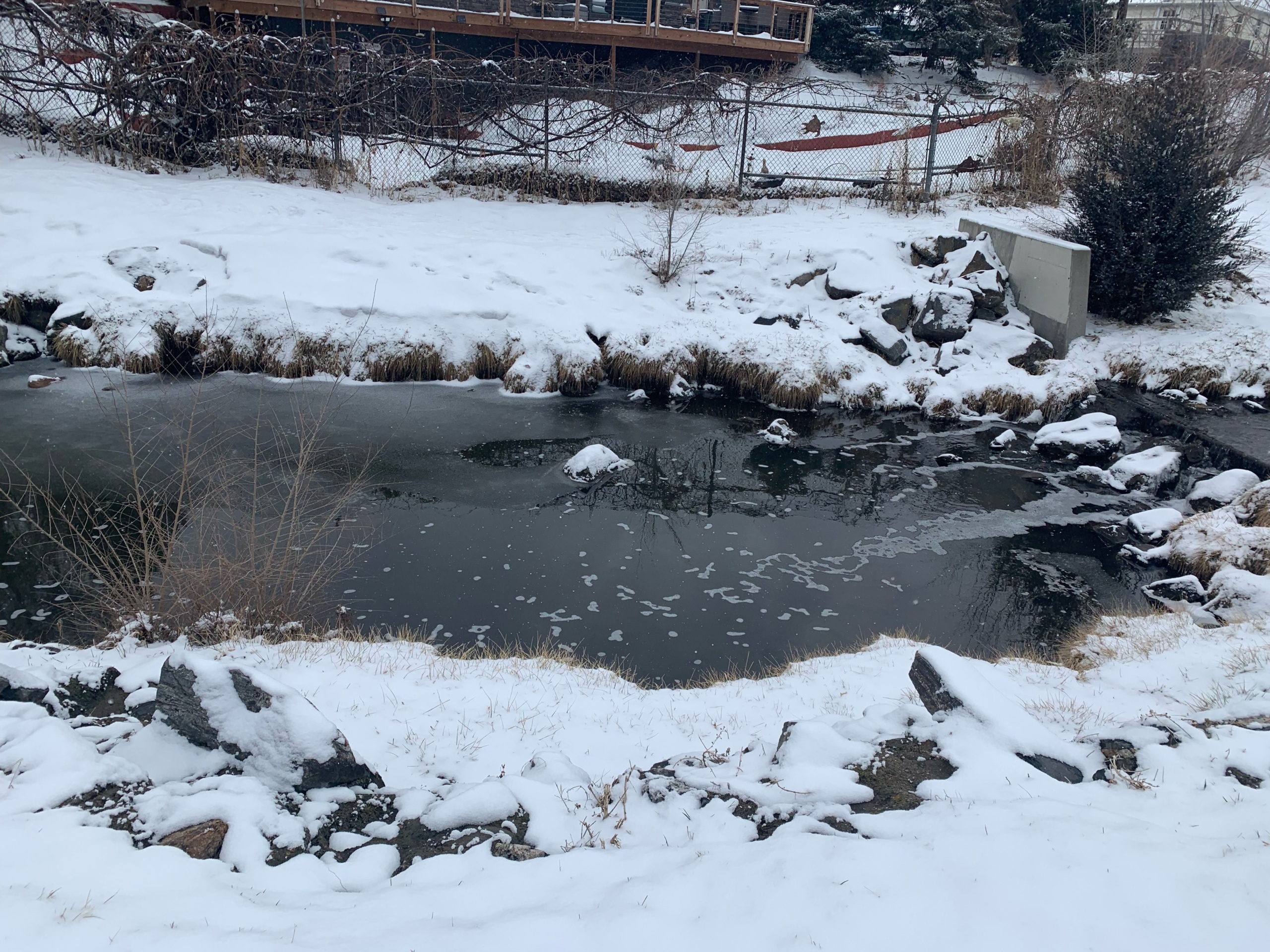 Holbrook Creek in Colorado and microplastic testing site