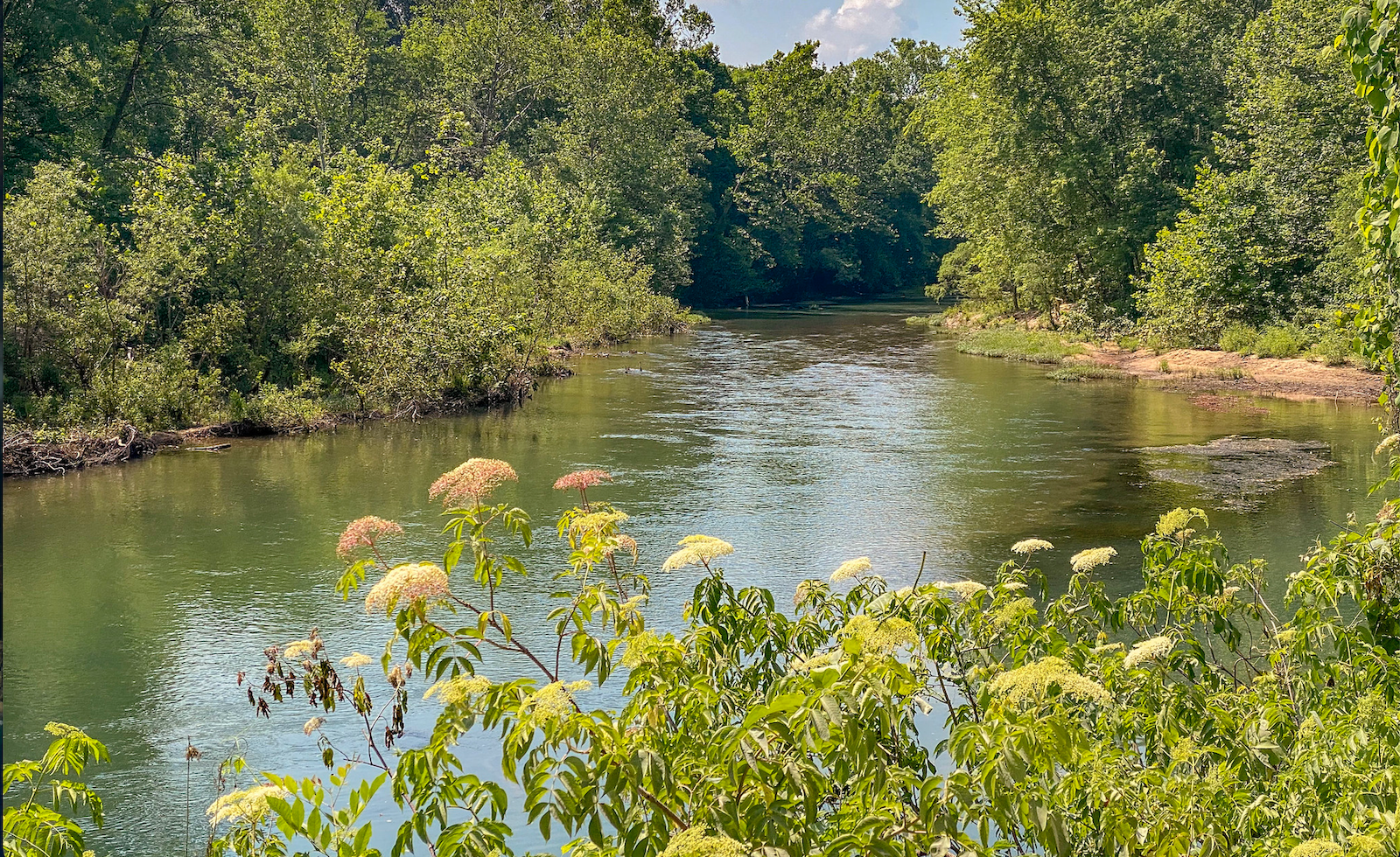 Rivers like this one in Missouri's Ozarks depend on wetlands to filter pollutants and host wildlife.