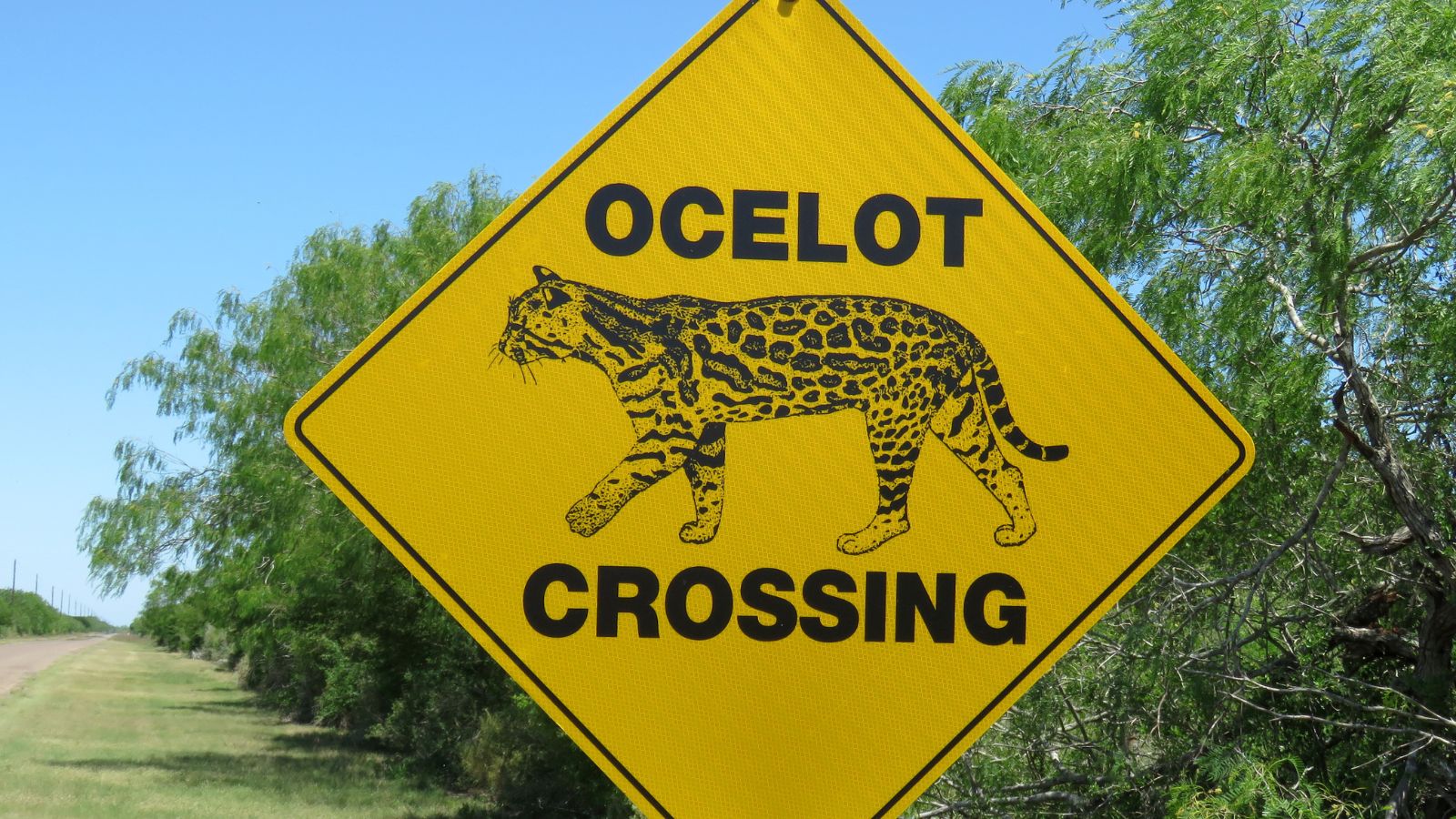 Iowa Department of Transportation on deer crossing signs