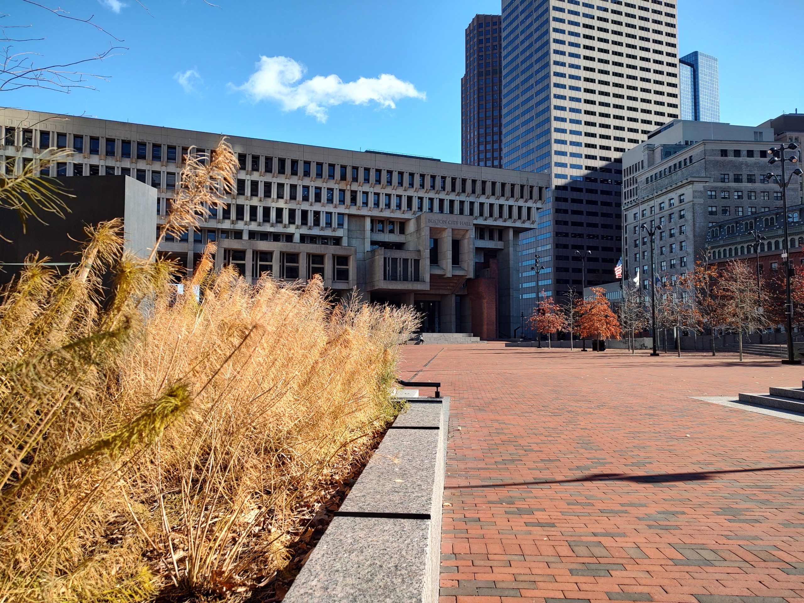 new plantings make the area around Boston's concrete City Hall a more pleasant place to be