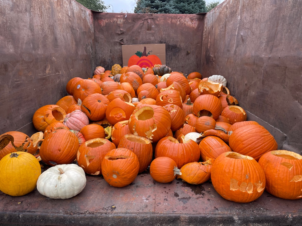 A truck bed full of Halloween pumpkins destined for a compost bin