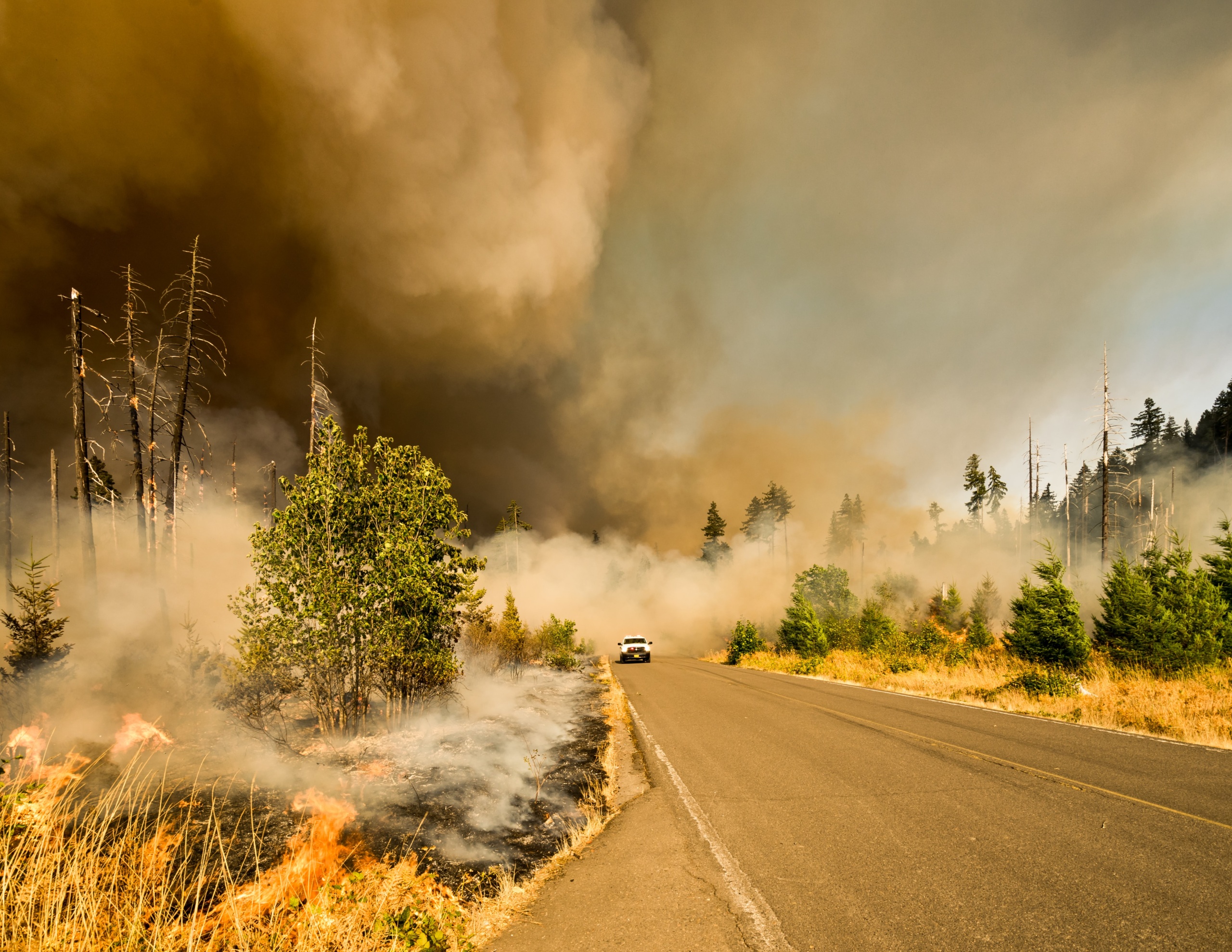 The Jones Fire in Oregon in 2017