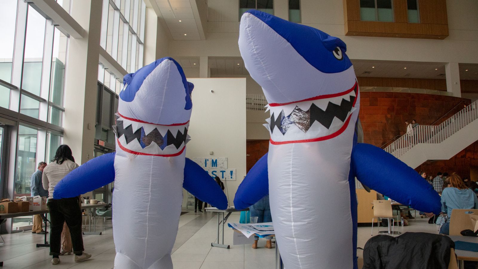 2 blowup sharks at oceans summit.