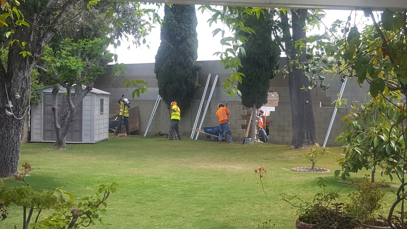 Four workers in bright vests dig in the green grass of a residential yard, below trees and next to a freeway sound wall.
