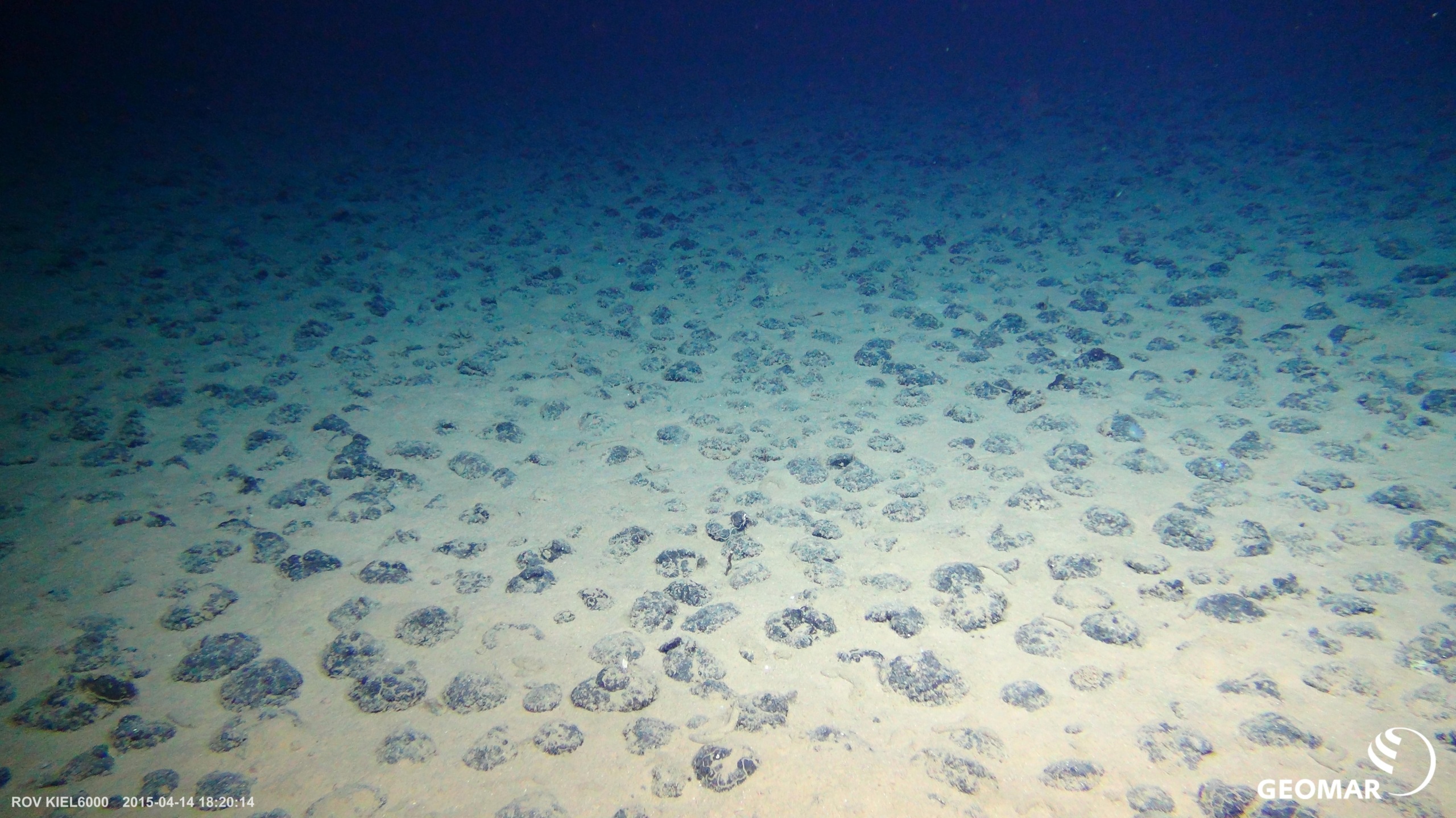 Polymetallic nodules on the floor of the Clarion-Clipperton Zone of the central Pacific Ocean.