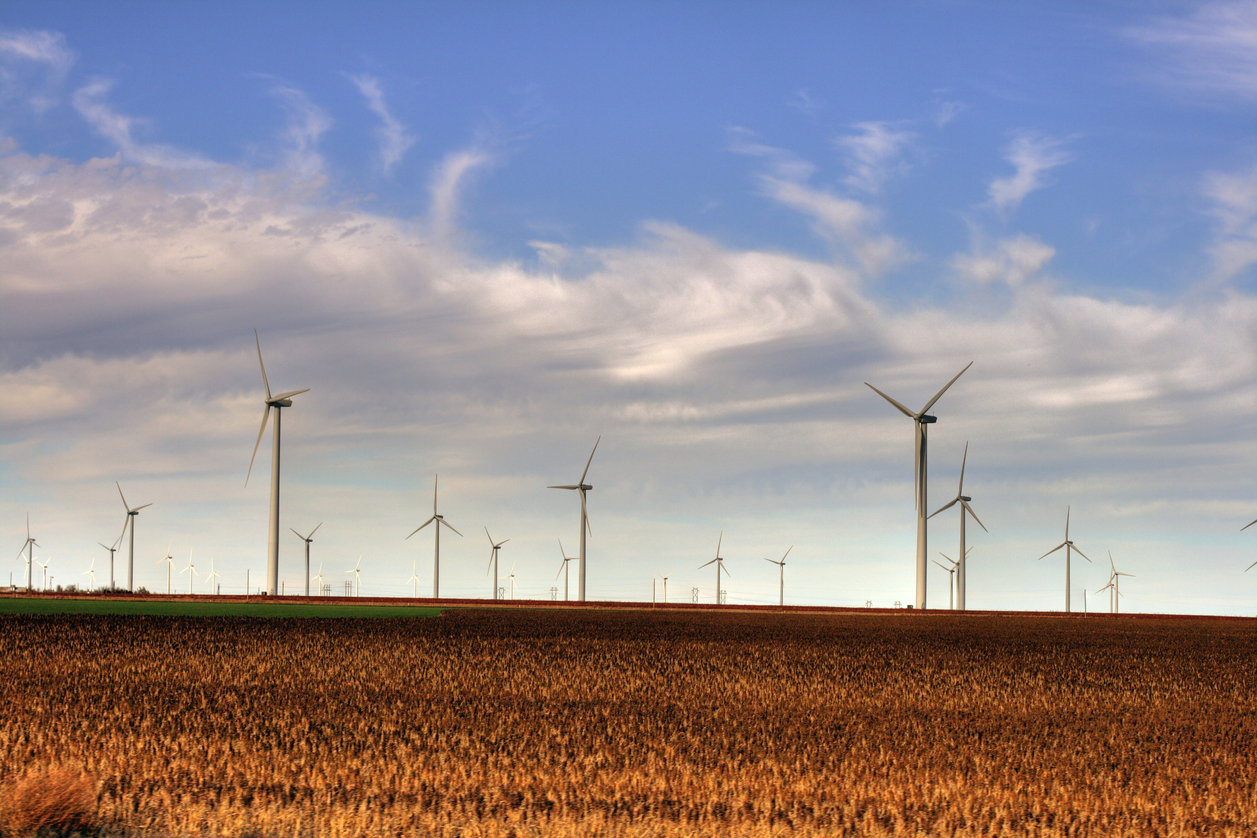 Wind farm with agricultural foreground