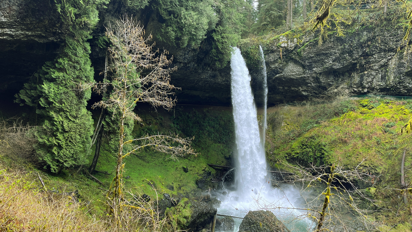 Waterfall at Silver Falls State Park